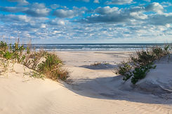 PeaIslandOBX_1568246899.jpg