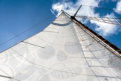 SailboatSkull_Web.jpg