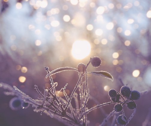 finding your sanctuary with me.png