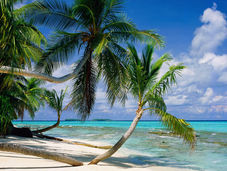 Maritime Silk Road to the South Pacific