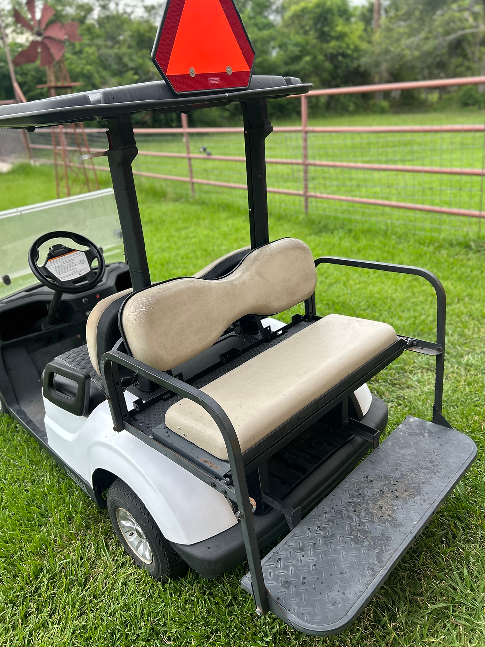 Thumbnail: 2019 Yamaha GAS EFI golf cart 