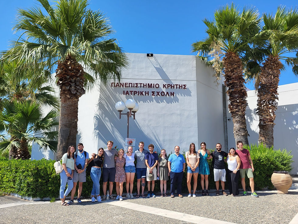 Girit Üniversitesi Tıp Fakültesi
