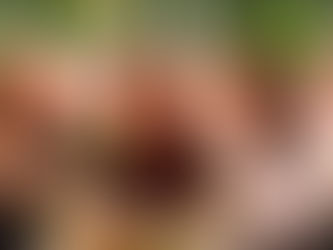 Çek Yaşam Bilimleri Üniversitesi (CULS)