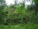 DSC00193
