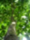 Foto PW