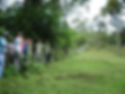 Claro en el bosque Vs Terreno Reforestado