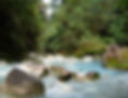 Bosque tropical