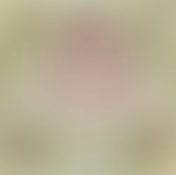 Empire of  Shadows Raiders of  the Arcana, Book 1 By: Jacquelyn Benson Unabridged Audiobook