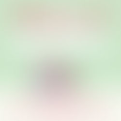 Professional Boundaries By: Jennifer Peel