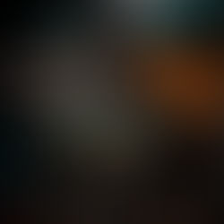 Carnival Master Carnival Series By: Selena Winters