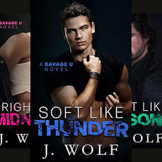 Savage U (4 book series) by  Julia Wolf