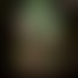 House of  Roots and Ruin By: Erin A. Craig