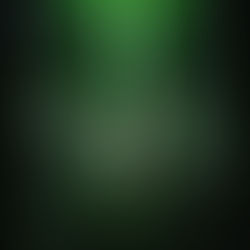 Sparrow in the Woods The Lost Souls of Dyconia, Book 2 By: Shona Knight