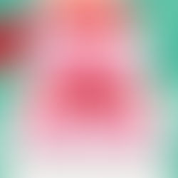 How My Neighbor Stole Christmas By: Meghan Quinn