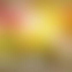 Wild Scottish Rose (Dramatized Adaptation) Enchanted Highlands, Book 4 By: Tricia O'Malley