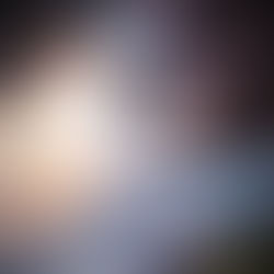 Let the Storm Break By Shannon Messenger