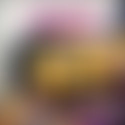 The Persians By: Sanam Mahloudji