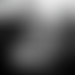 The Gentlemen A Dark MFM Dancer Romance (Men Under Revue) By: Jacklyn Parker