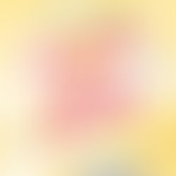 Mistakes Were Made Story Lake, Book 2 By: Lucy Score