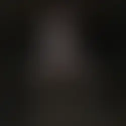 Shattered Hearts: An Arranged Marriage Mafia Romance Renee Parker