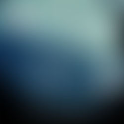 The Woman in Cabin 10 By: Ruth Ware