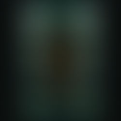 A Wrecking of  Salt and Fire The Nostos Series, Book 1 By: E.K. Condos