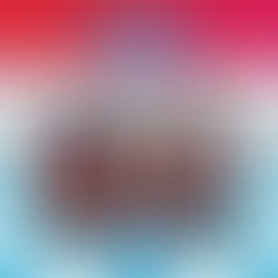 Pippa Park Crush at First Sight Pippa Park Raises Her Game, Book 2 By: Erin Yun