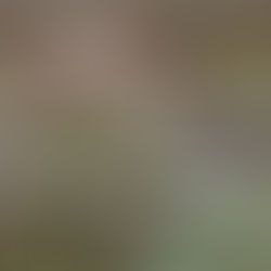 This Fatal Kiss By: Alicia Jasinska