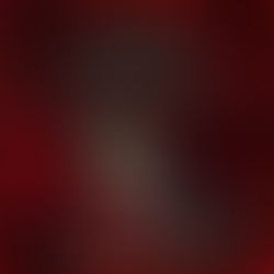 The Magic of  Dragons: Riders and Hunters By: Laura Burton