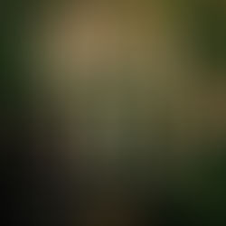 Savage Lands Savage Lands, Book 1 By: Stacey Marie Brown Unabridged Audiobook  