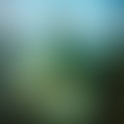 Blue Bloods: Revelations by Melissa de la Cruz