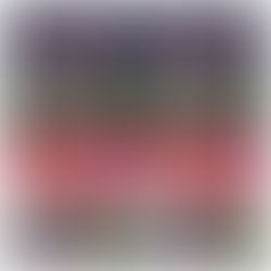 Broken Play PCU Storm, Book 1-2 By: Riley Paige