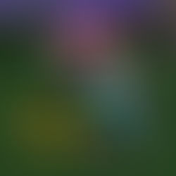 Castle in the Air By: Diana Wynne Jones