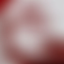 Love for Hire The Price Brothers By: Nikki Castle