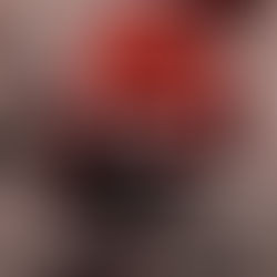 The Thorns Remain By: Jennifer Hartmann, Chelley St Clair