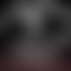 Beautiful Torment Empire of  Kings, Book 1 By: A. Zavarelli