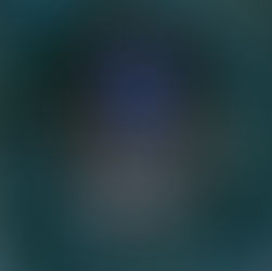 The Winter Witch A Novel By: Jennifer Chevalier