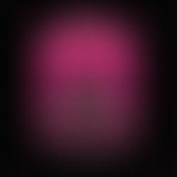 The Veiled Kingdom The Veiled Kingdom Series, Book 1 By: Holly Renee