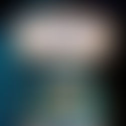 The Violin Maker’s Secret By: Evie Woods