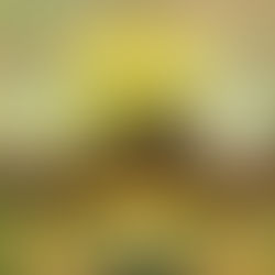 Broken Country By: Clare Leslie Hall