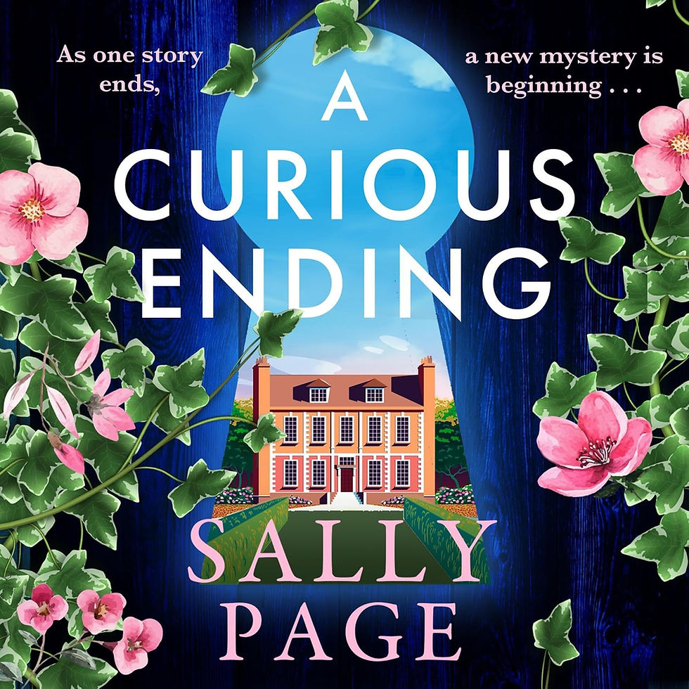 A Curious Ending: The brand new novel for 2026 from the Sunday Times bestselling author of The Keeper of Stories and The Book of Beginnings by Sally Page