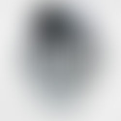 Savage Lover A Dark Mafia Romance (Brutal Birthright, Book 3) By: Sophie Lark