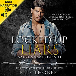 Locked Up Liars Saint View Prison, Book 1 By: Elle Thorpe