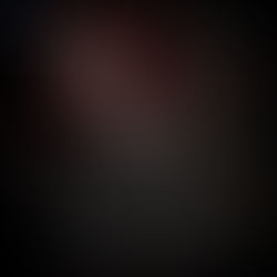 Blood Claims Garnet Dagger Mafia, Book 2 By: Stephanie Hudson