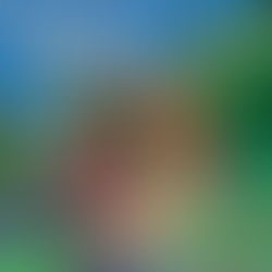 Pain in the Axe Maine Lumberjacks, Book 2 By: Daphne Elliot