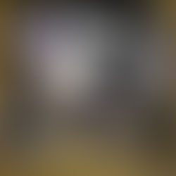 Blood Lovers By JA Huss