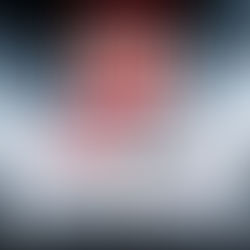 Blood Roses The Warsaw Quartet, Book 1 By Douglas Jackson Unabridged Audiobook