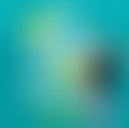 The DM Diaries By Teagan Hunter Unabridged Audiobook