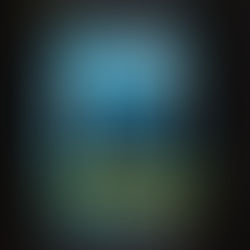 The Stepson By: D.L. Fisher 