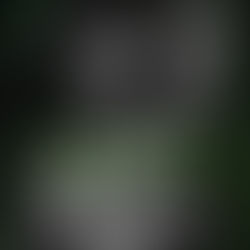 IGNITE By: Luna Mason